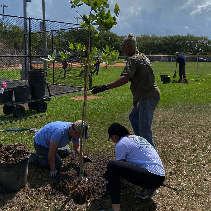 Greening Underserved Communities